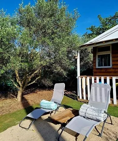 Un Dans Les Oliviers 3 Nuits Mini * Nîmes