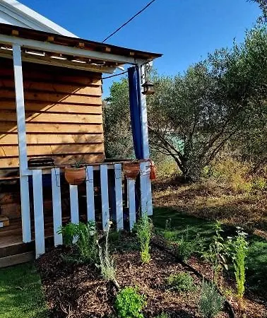 Un Dans Les Oliviers 3 Nuits Mini Lägenhet Nîmes