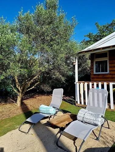 Un Dans Les Oliviers 3 Nuits Mini * Nîmes